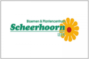 Scheerhoorn Bloemen